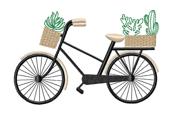 Bicycle with Cacti and Succulents Review